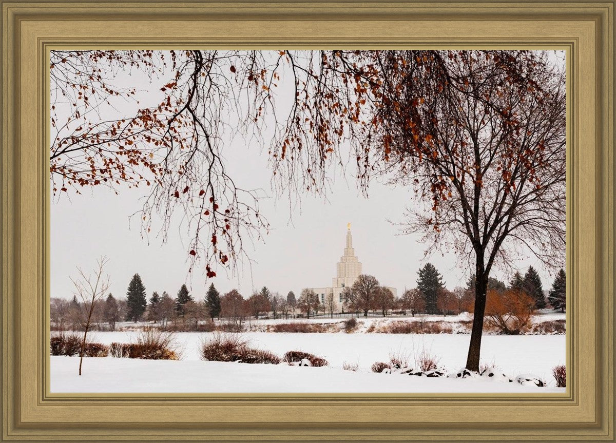 Fall After the Storm
