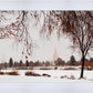 Fall After the Storm