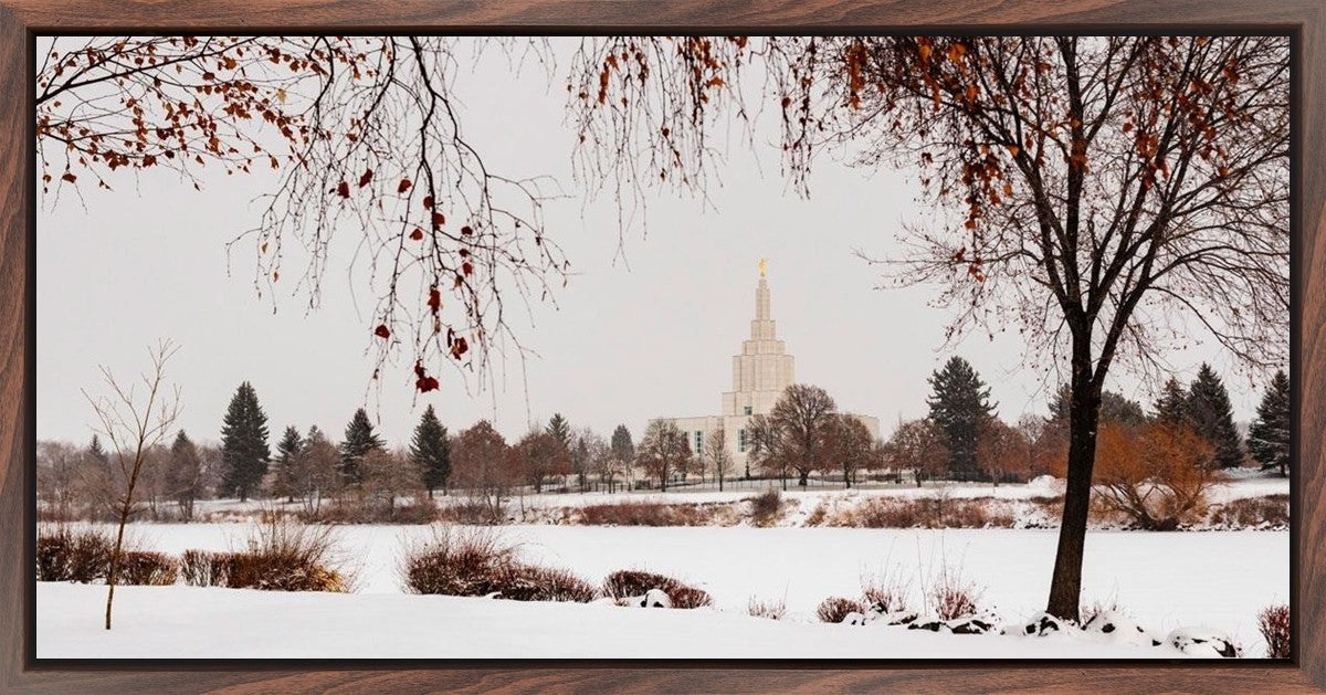 Fall After the Storm