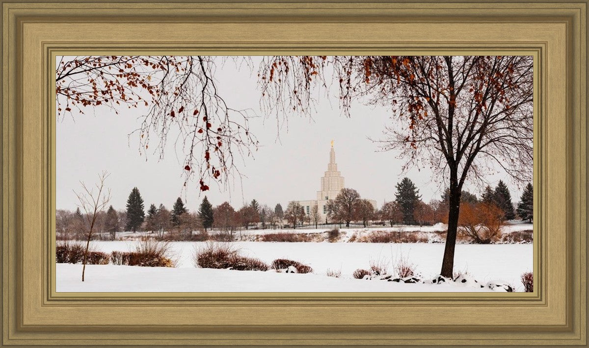 Fall After the Storm