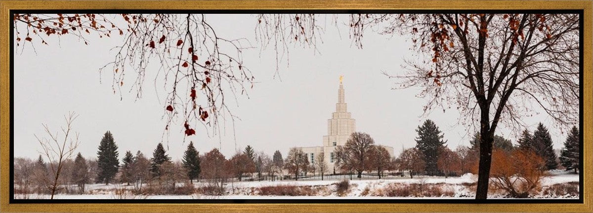 Fall After the Storm