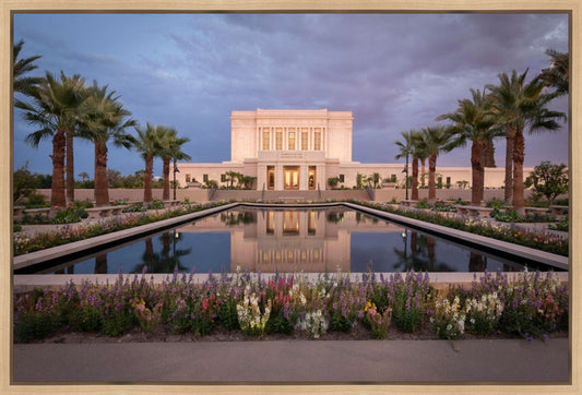 Mesa Arizona Summer Nights Dream