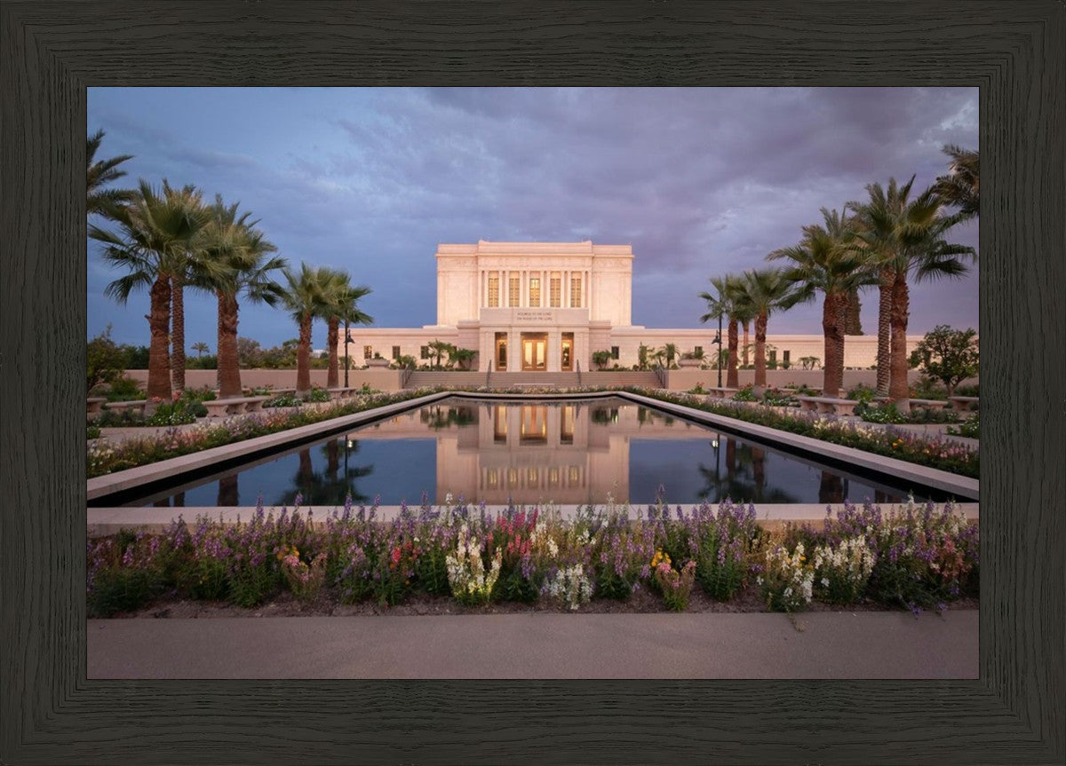 Mesa Arizona Summer Nights Dream