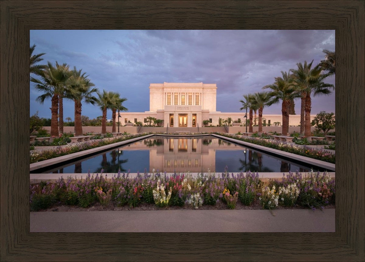 Mesa Arizona Summer Nights Dream