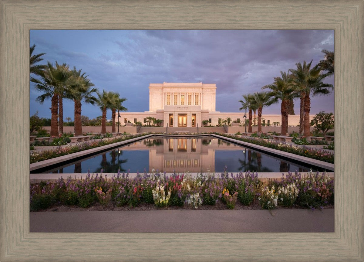 Mesa Arizona Summer Nights Dream