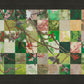 Spring Plum Branch