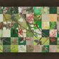 Spring Plum Branch