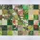 Spring Plum Branch