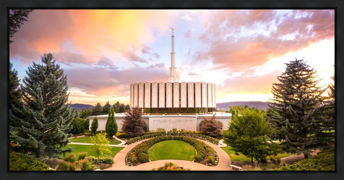 Provo Back Landscape