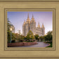 Salt Lake Evening Lights
