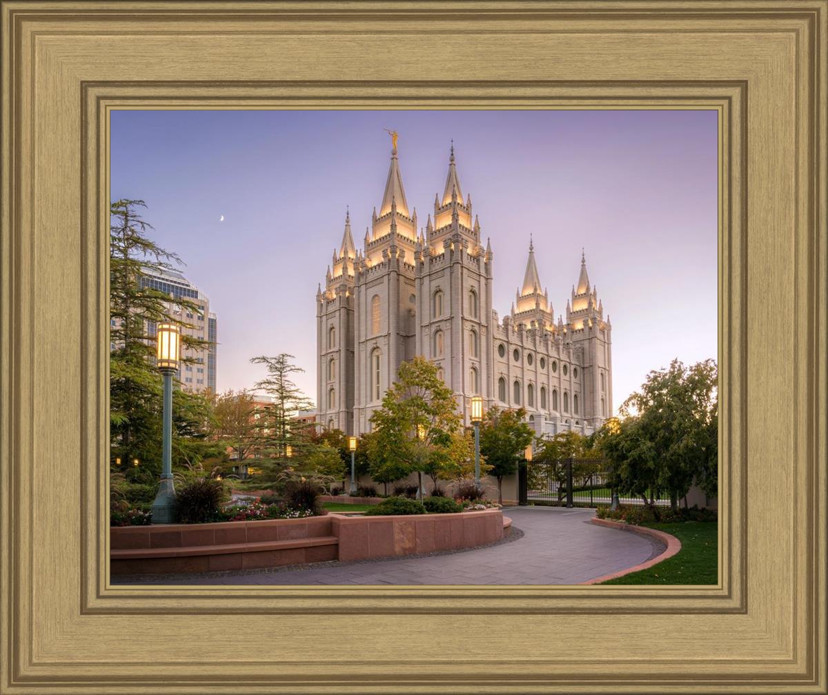 Salt Lake Evening Lights