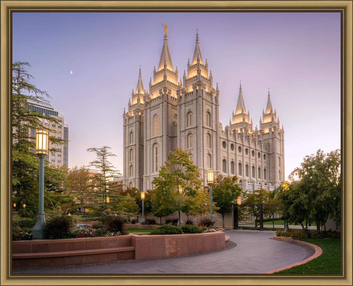 Salt Lake Evening Lights