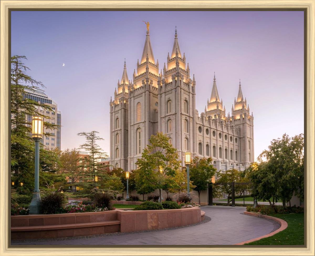 Salt Lake Evening Lights