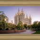 Salt Lake Evening Lights