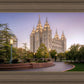 Salt Lake Evening Lights