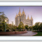 Salt Lake Evening Lights