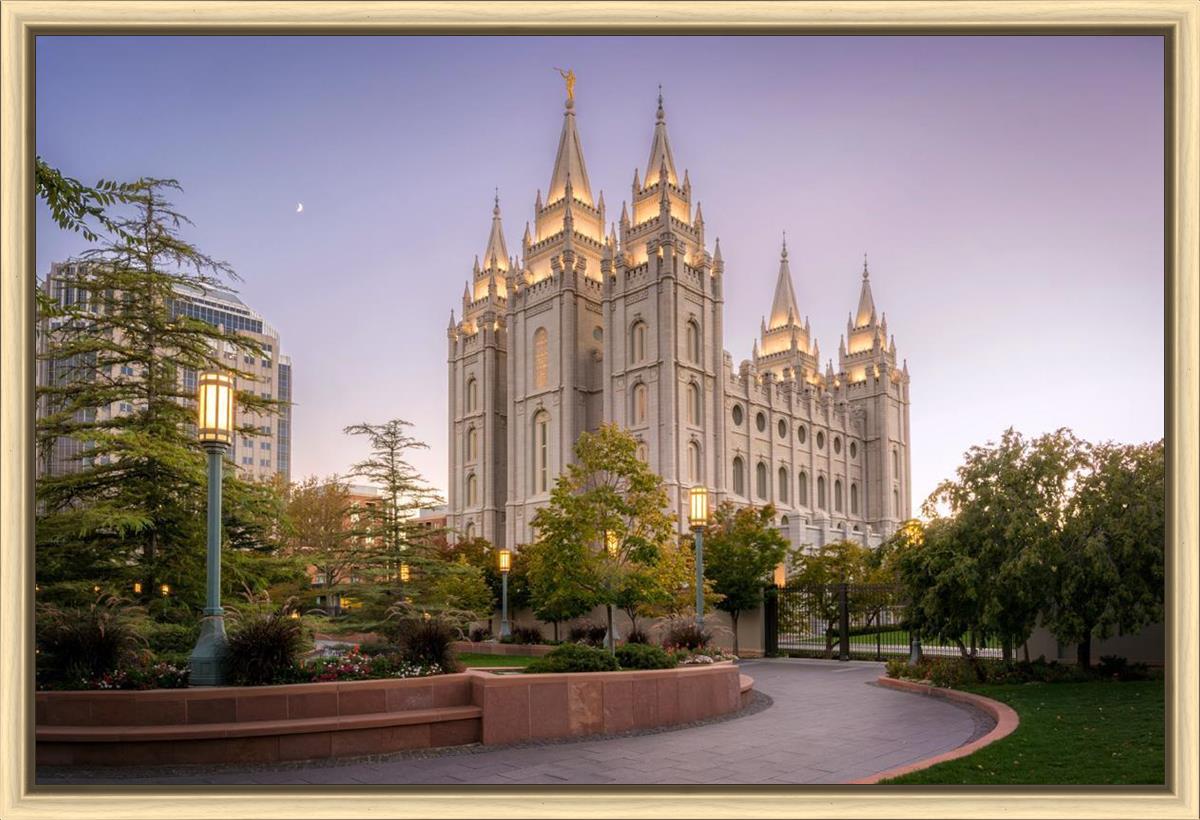 Salt Lake Evening Lights