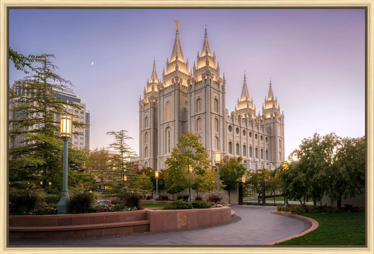 Salt Lake Evening Lights