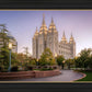 Salt Lake Evening Lights