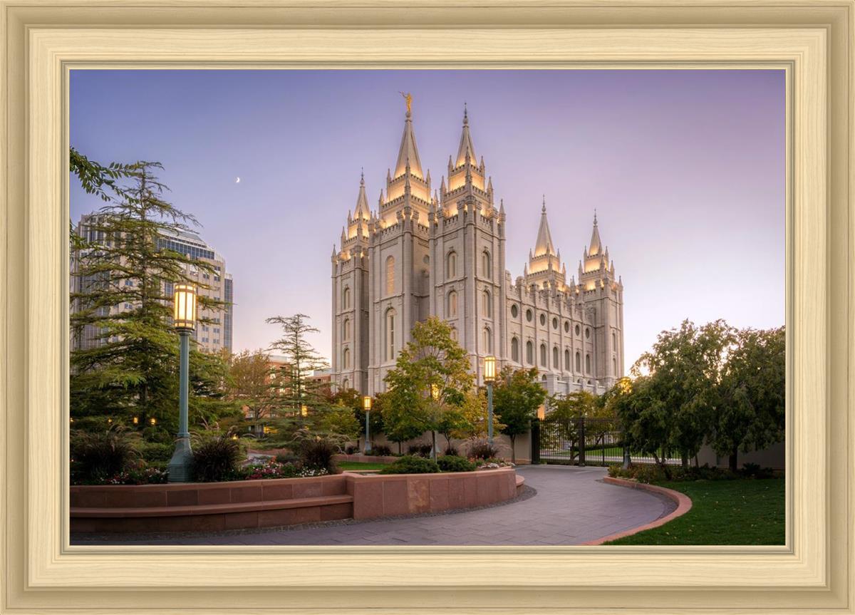 Salt Lake Evening Lights