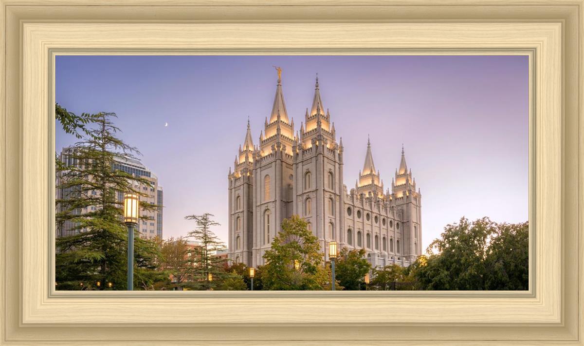 Salt Lake Evening Lights
