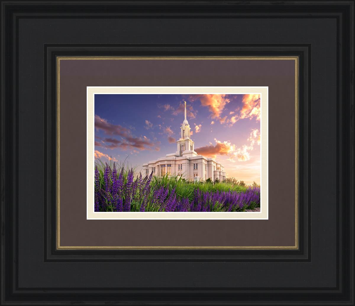Payson Temple Blooming Lavender