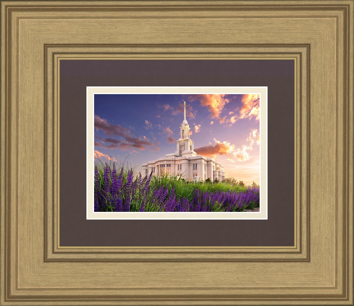 Payson Temple Blooming Lavender