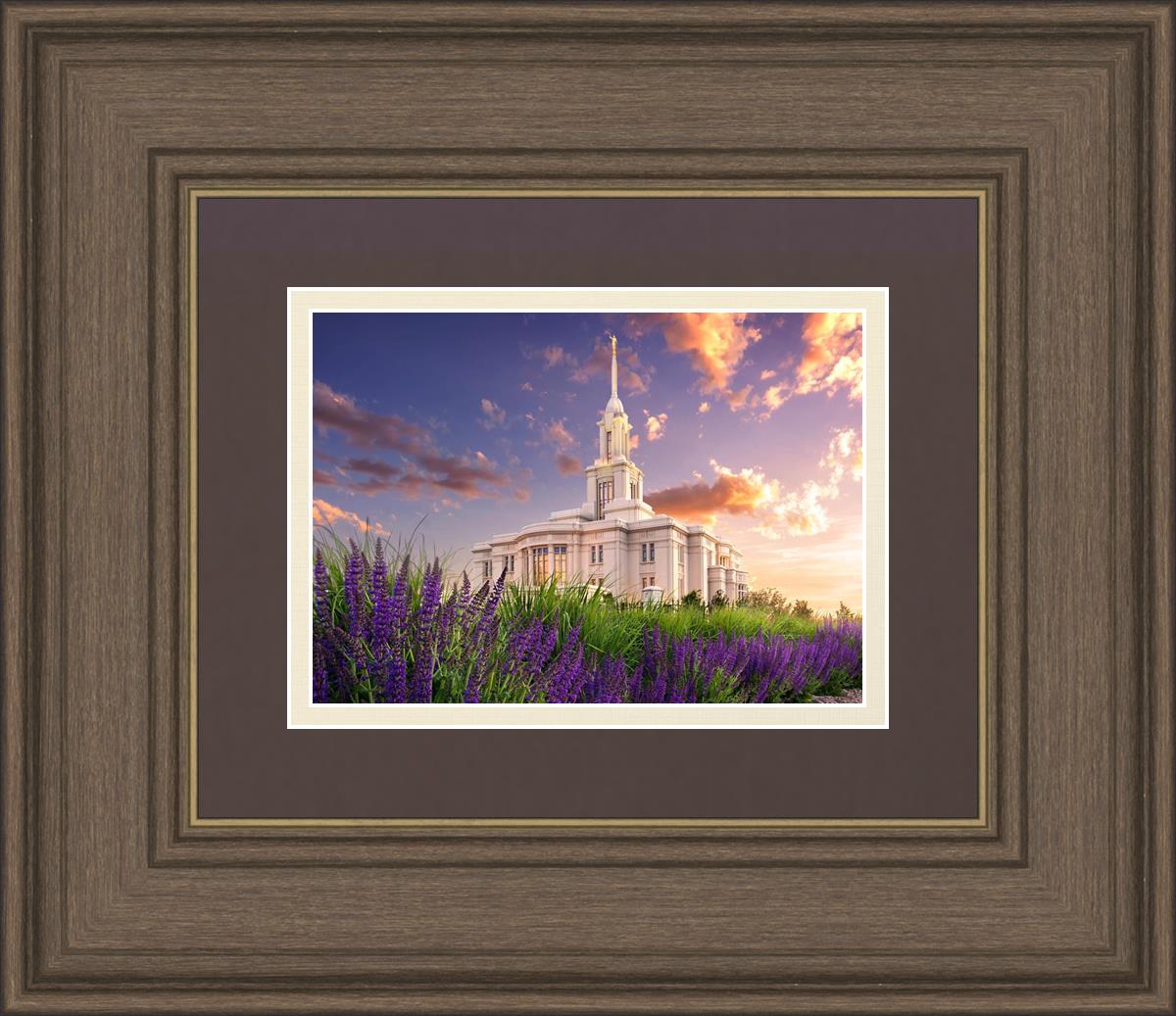 Payson Temple Blooming Lavender