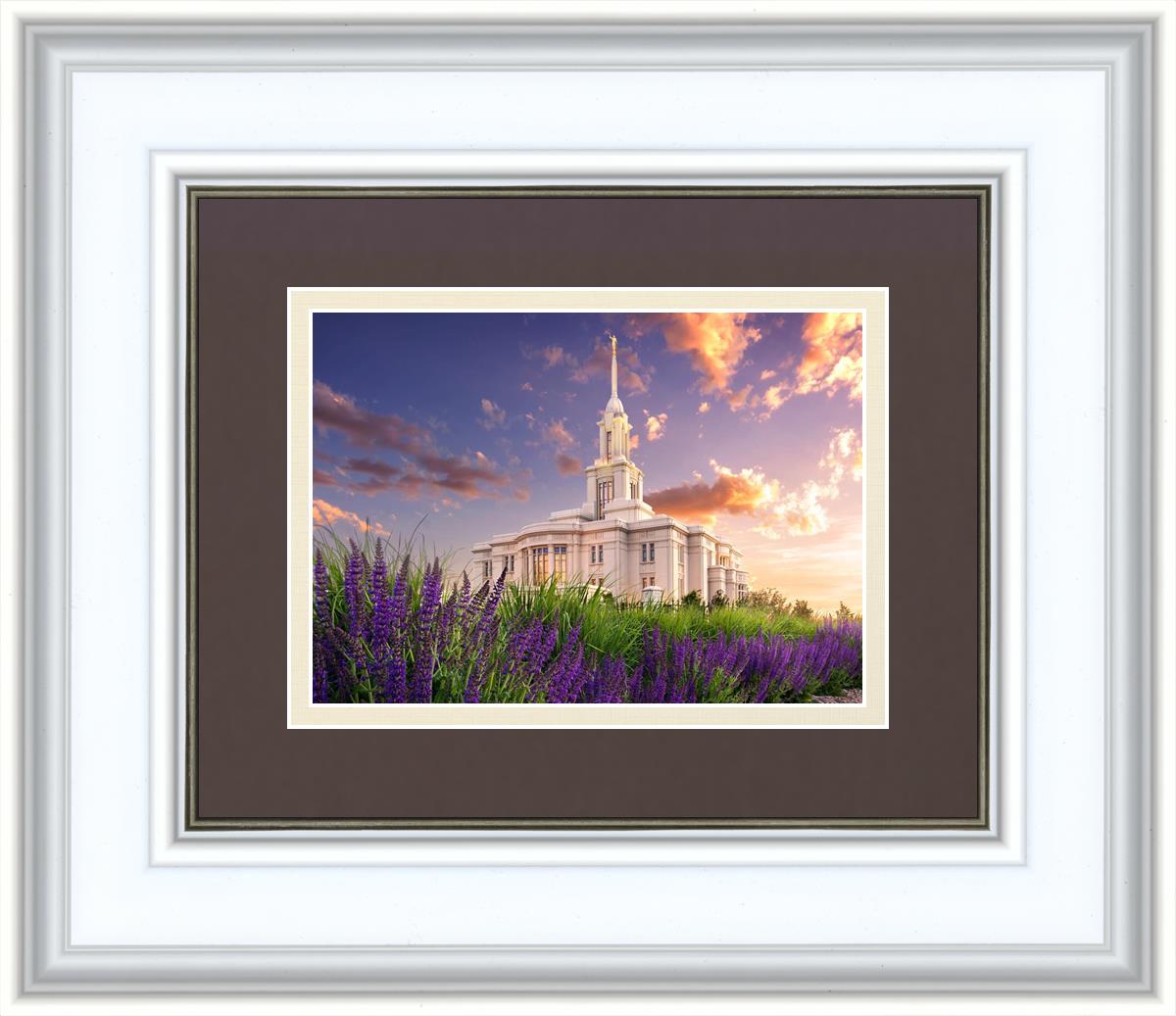 Payson Temple Blooming Lavender