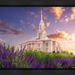 Payson Temple Blooming Lavender