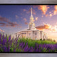 Payson Temple Blooming Lavender