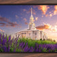 Payson Temple Blooming Lavender