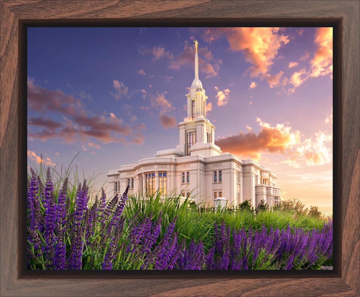 Payson Temple Blooming Lavender