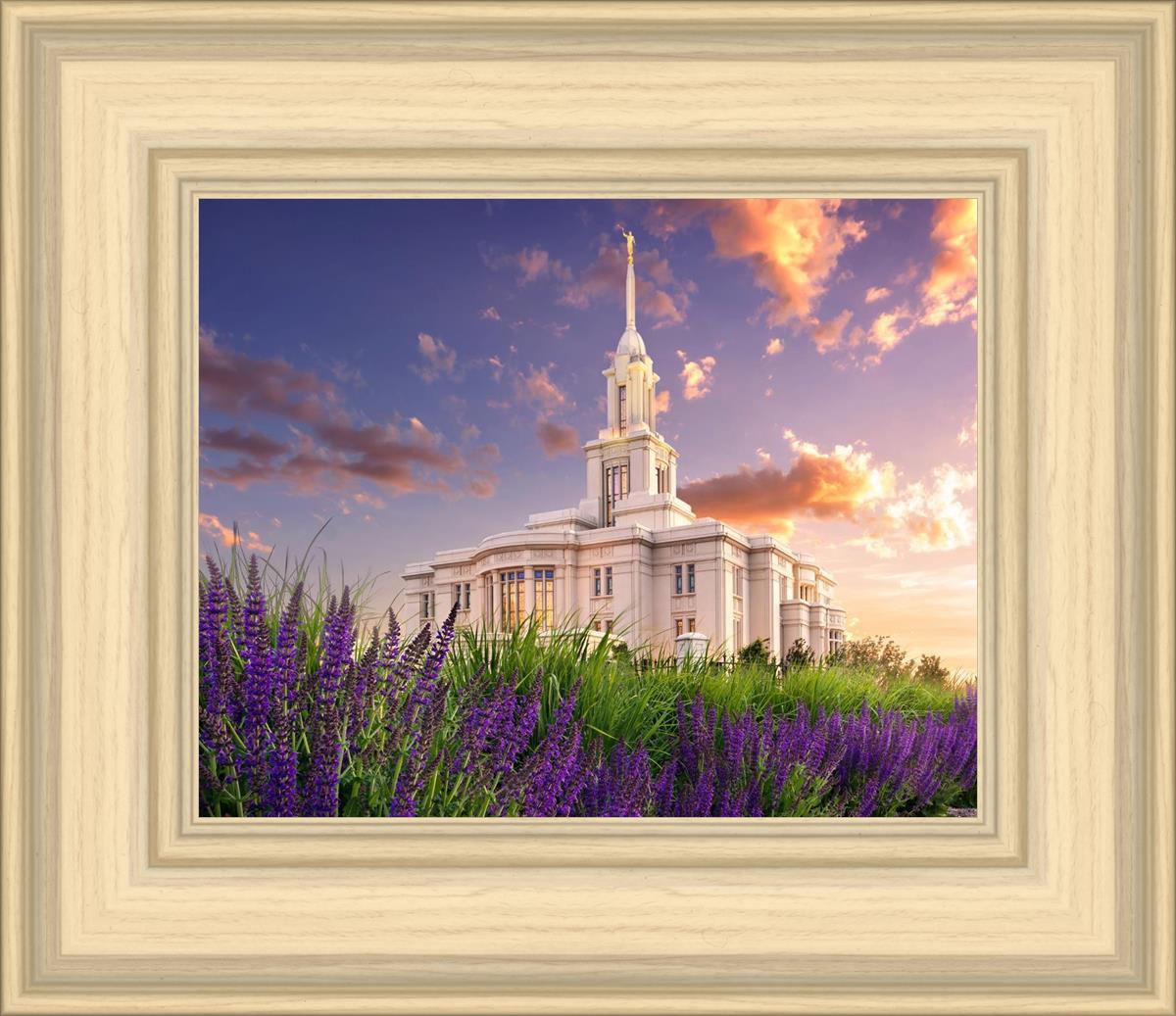 Payson Temple Blooming Lavender
