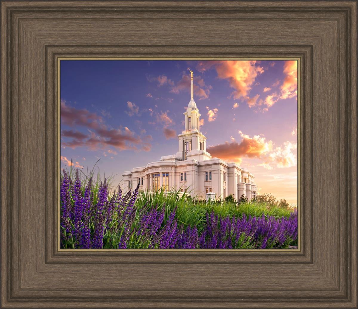 Payson Temple Blooming Lavender