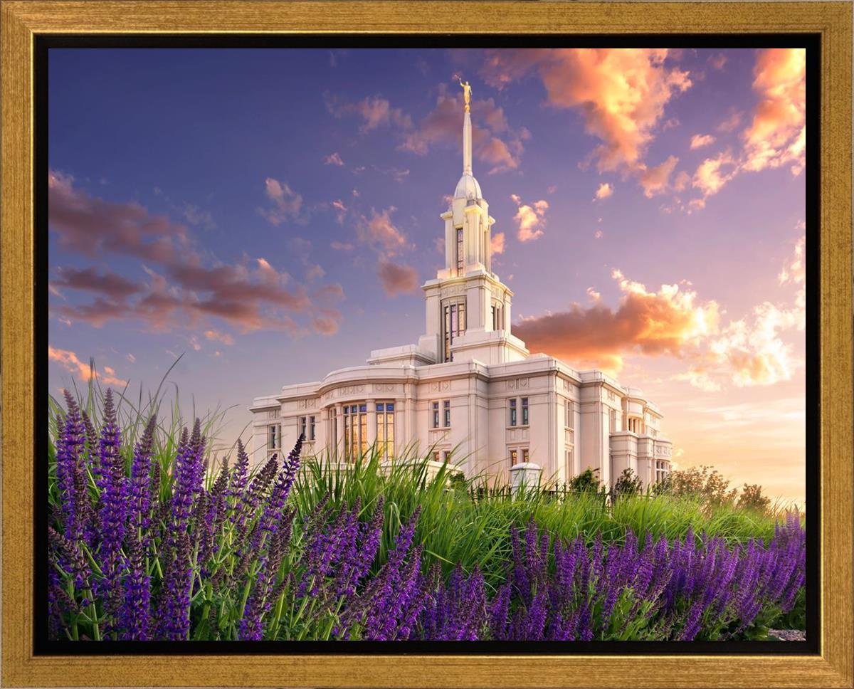 Payson Temple Blooming Lavender