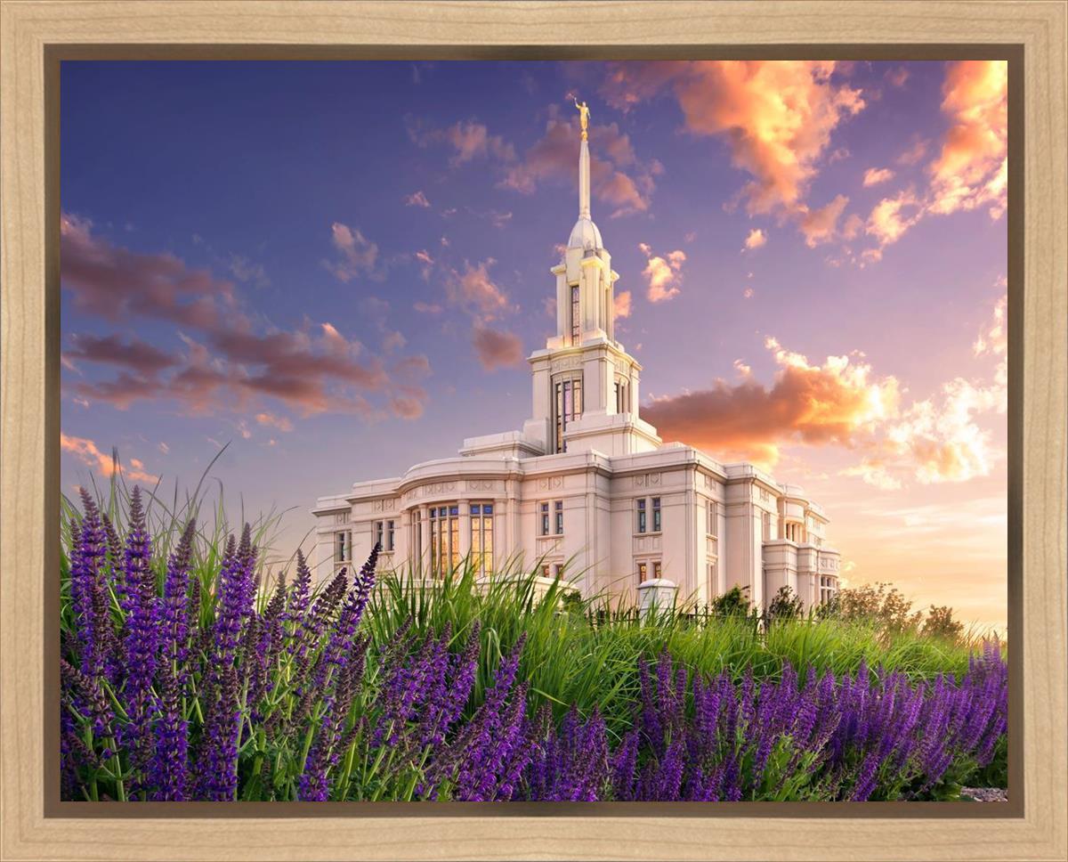 Payson Temple Blooming Lavender