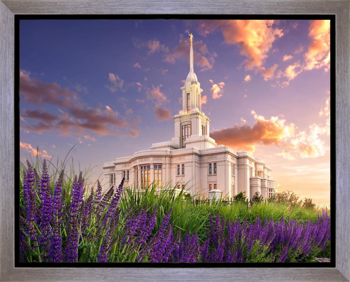 Payson Temple Blooming Lavender