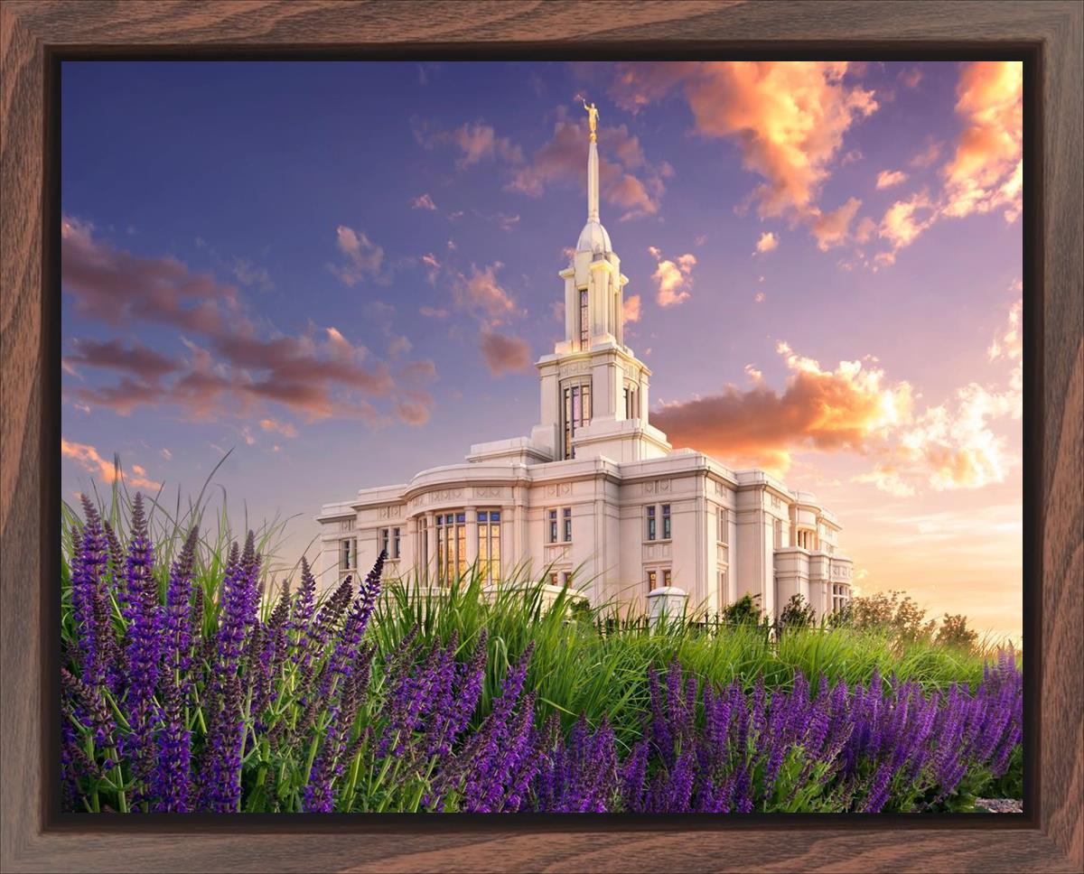 Payson Temple Blooming Lavender