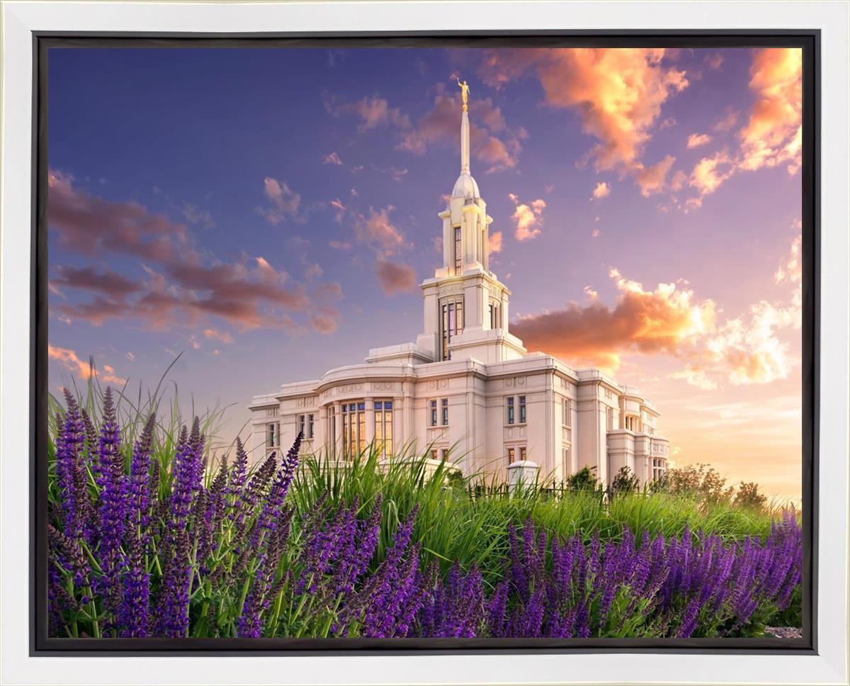 Payson Temple Blooming Lavender