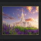 Payson Temple Blooming Lavender
