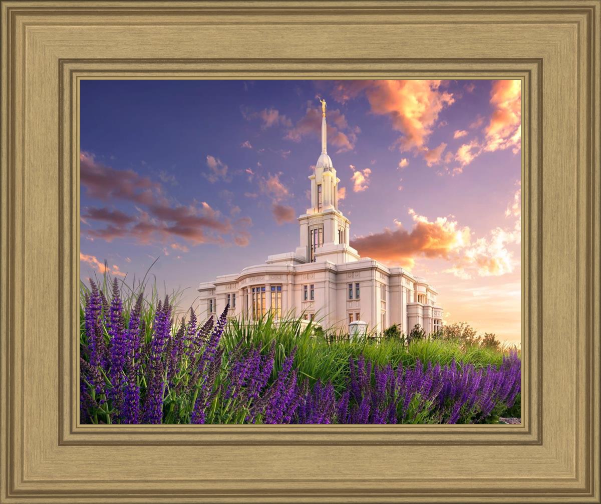 Payson Temple Blooming Lavender