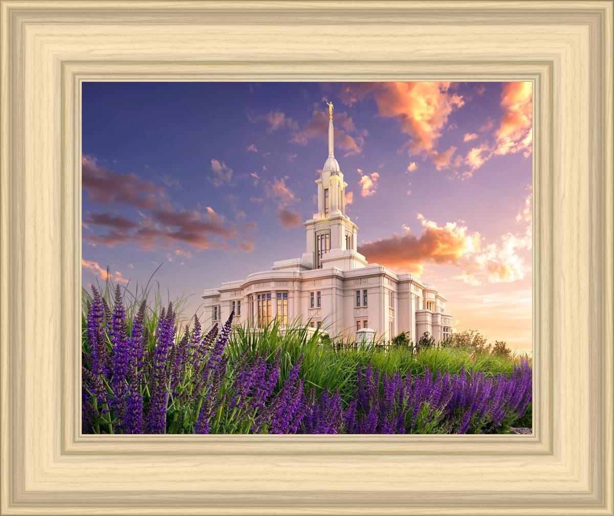 Payson Temple Blooming Lavender