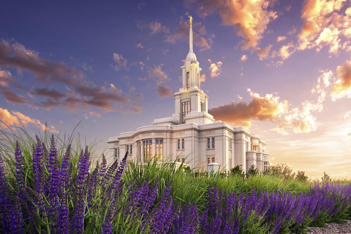 Payson Temple Blooming Lavender