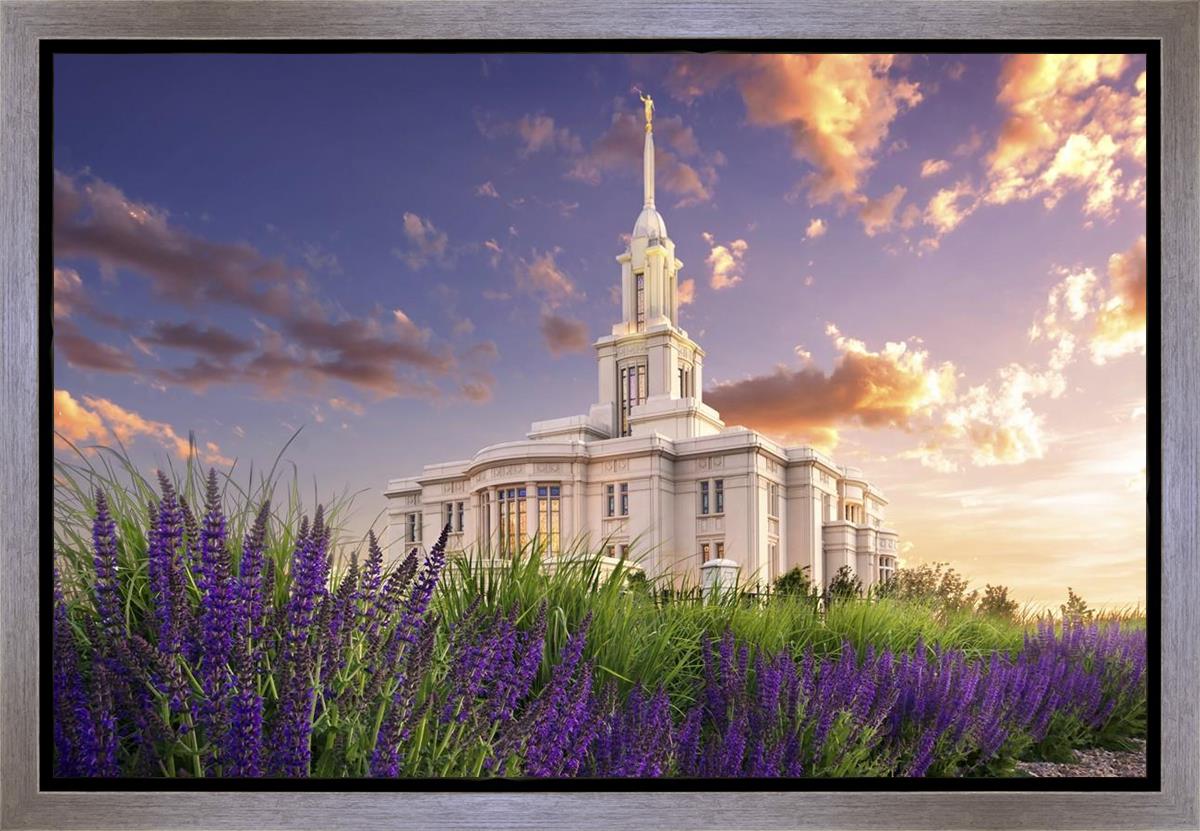 Payson Temple Blooming Lavender