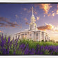 Payson Temple Blooming Lavender