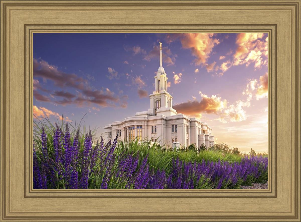 Payson Temple Blooming Lavender