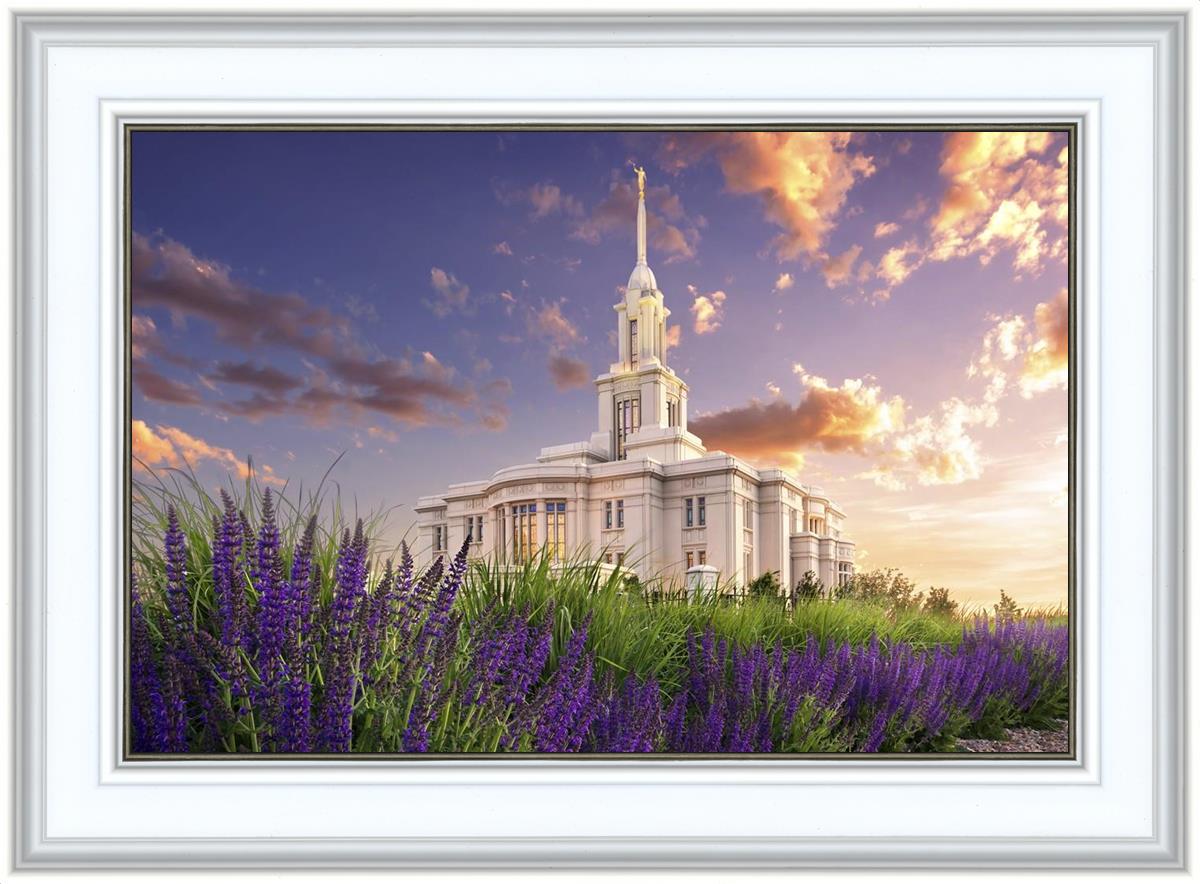 Payson Temple Blooming Lavender