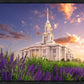 Payson Temple Blooming Lavender
