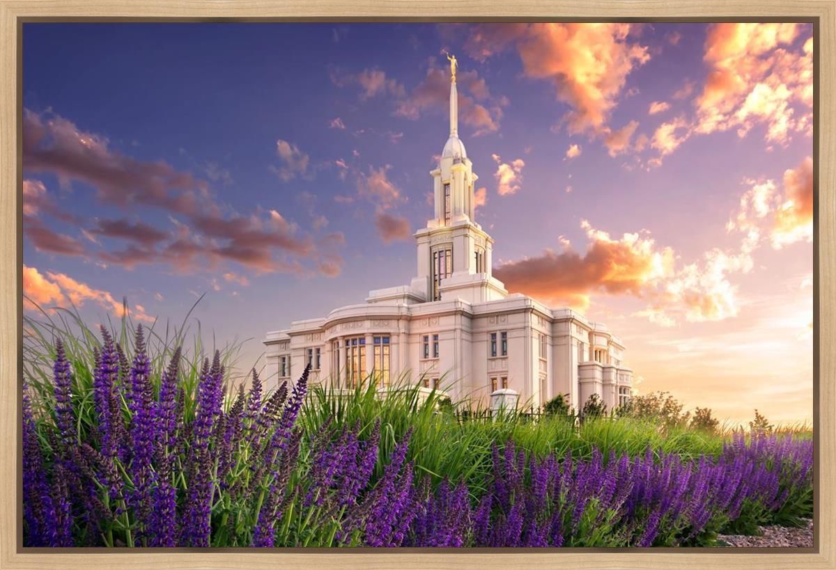 Payson Temple Blooming Lavender